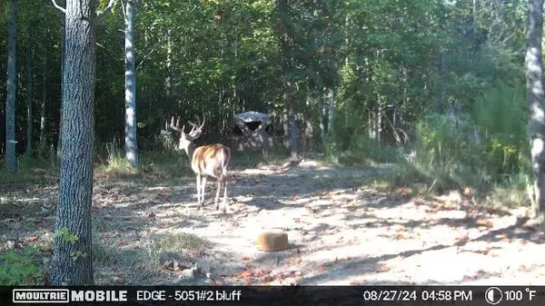 Sewanee, TN 37375,100 Deer Wood DR