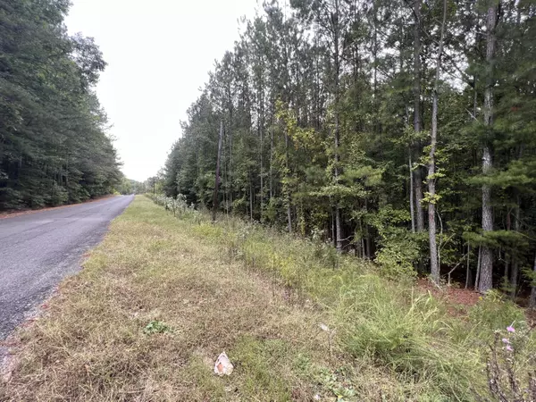 Valley Head, AL 35989,0 Alabama State Route 40