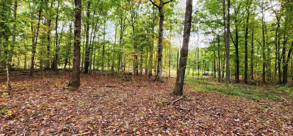 Sewanee, TN 37375,375 Deer Wood DR