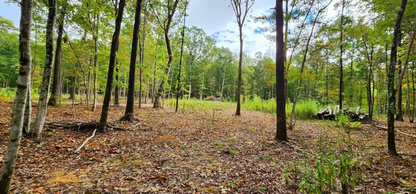 375 Deer Wood DR, Sewanee, TN 37375