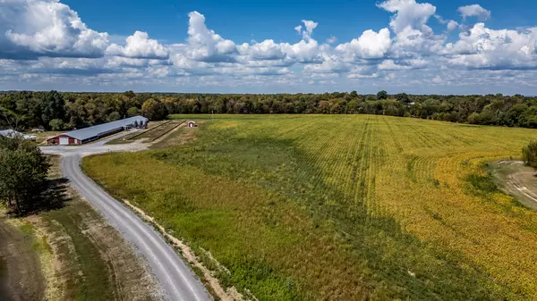 Flat Rock, AL 35966,10484 Co Rd 14