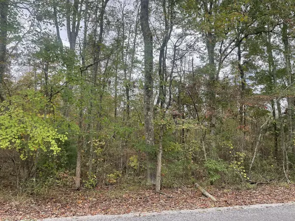 4.6 Acre County Road 309, Bryant, AL 35958