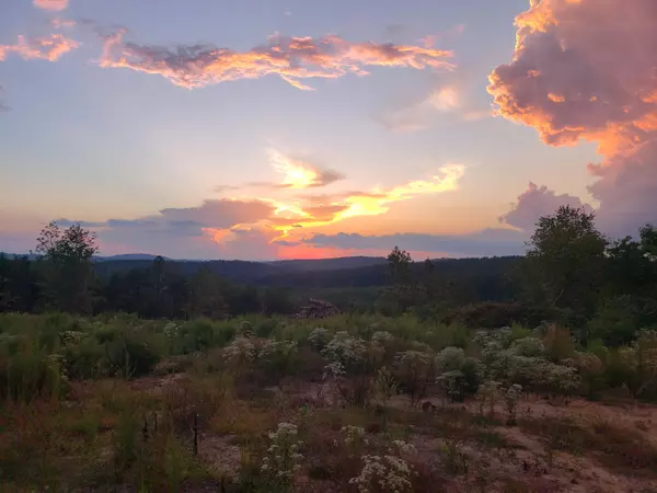 Calhoun, TN 37309,127 County Road 965