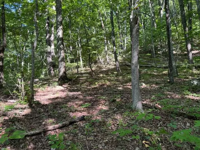 Rising Fawn, GA 30738,3441 Newsome Gap RD