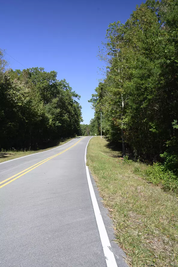 Rising Fawn, GA 30738,20 Lula Forest TRL