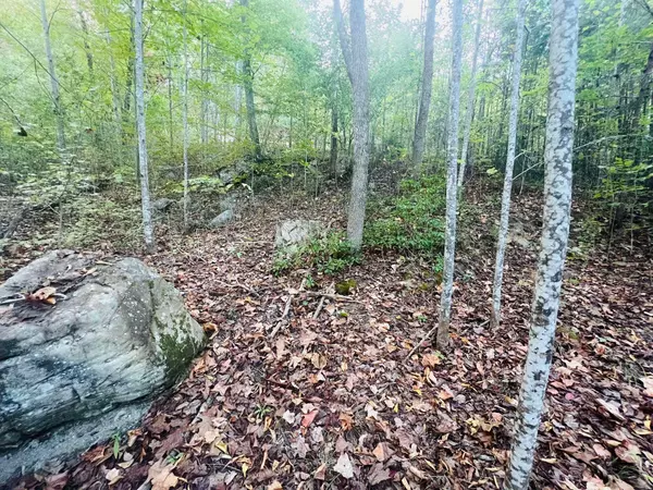 Dunlap, TN 37327,0 Blue Sewanee RD