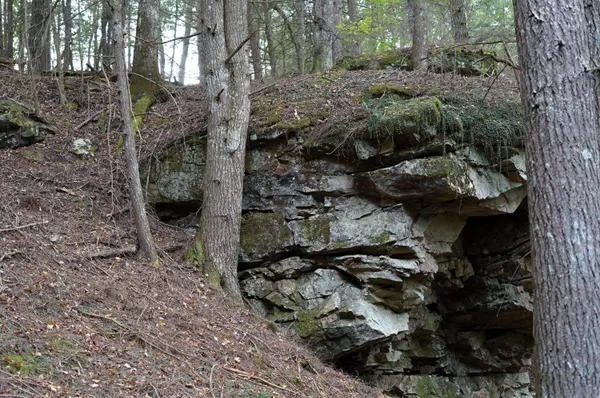 Spencer, TN 38585,0 Wolf Haven RD