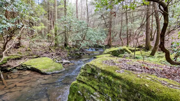 Spencer, TN 38585,0 Wolf Haven RD