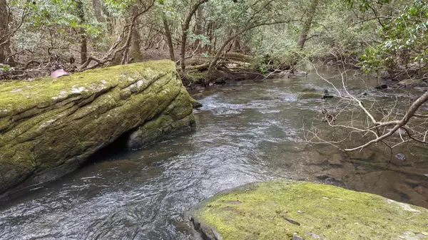 Spencer, TN 38585,0 Wolf Haven RD