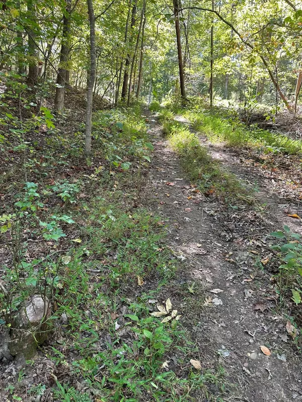 Spring City, TN 37381,Lot 353 Diana DR