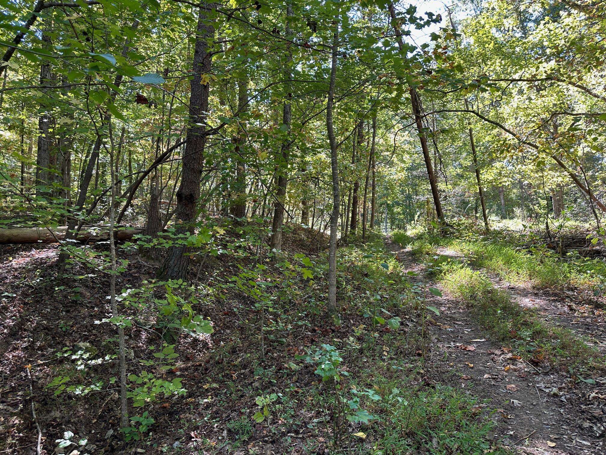 Lot 354 Diana DR, Spring City, TN 37381