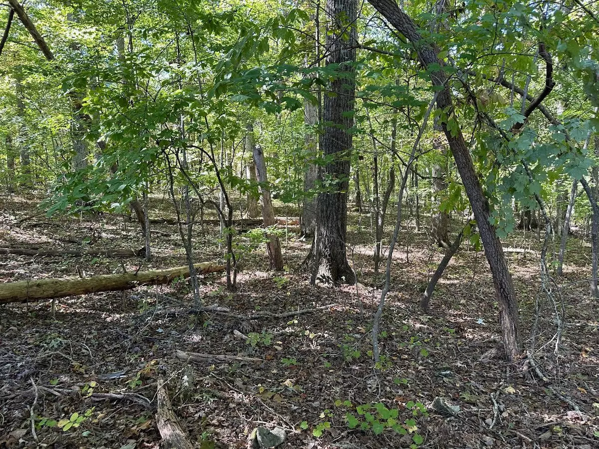 Spring City, TN 37381,Lot 411 Smith RD