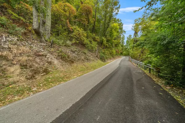 Sevierville, TN 37876,2365 Bluff Mountain RD