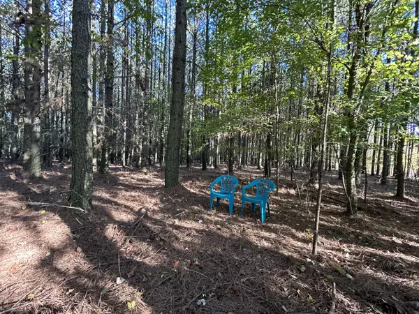 Jasper, TN 37347,2035 Crockett PT