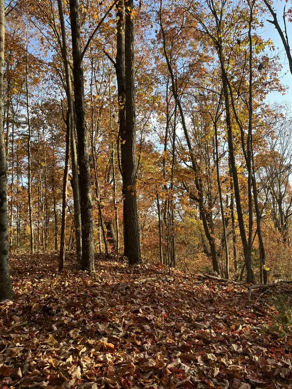 Grandview, TN 37337,Lot 30 Partridge Trail