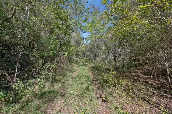 Fayetteville, TN 37334,0 Tate RD