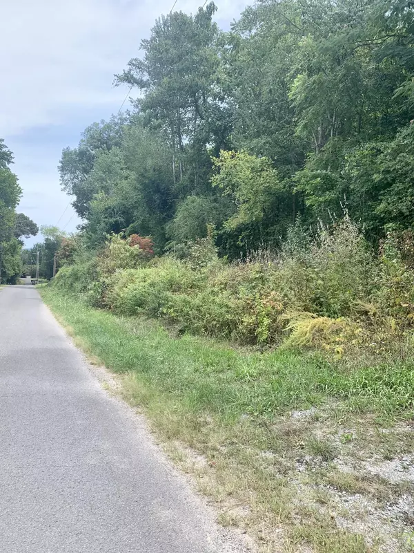 Dunlap, TN 37327,Lot 2 Hartman CIR