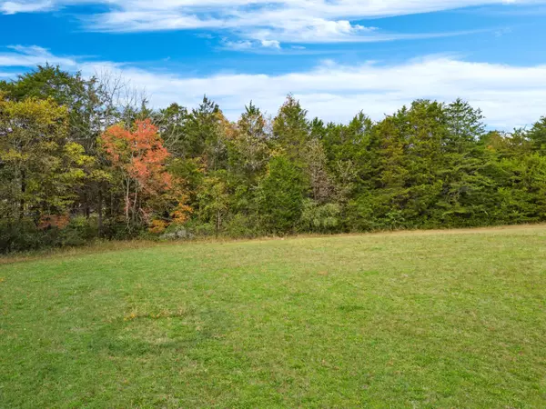 Chickamauga, GA 30707,0 Cedar LN