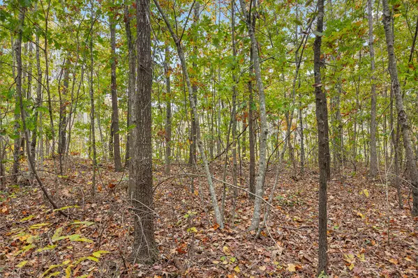 Tunnel Hill, GA 30755