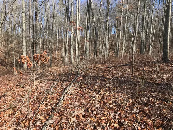 Dunlap, TN 37327,0 Chestnut Oak DR
