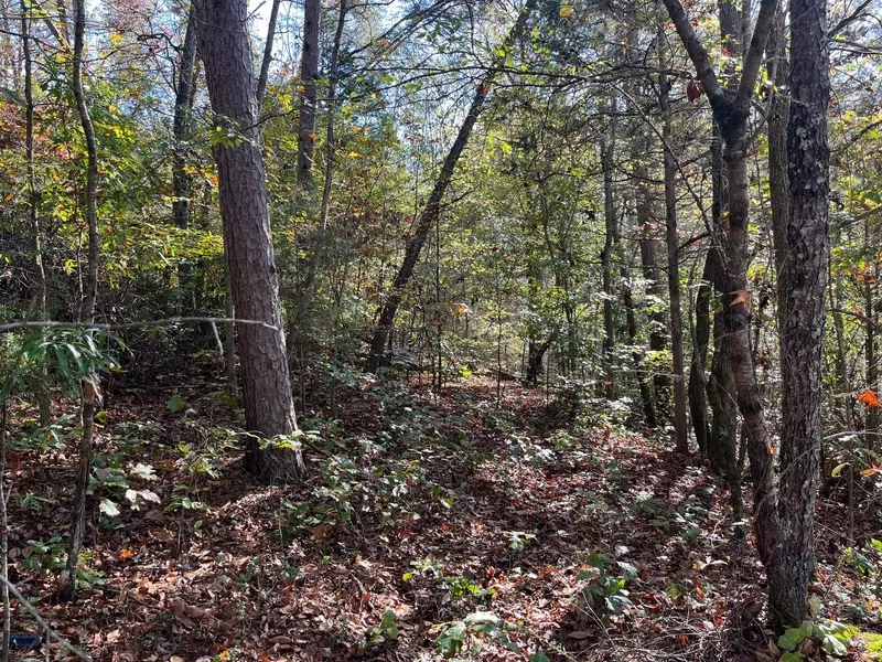 955 Long Island RD, New Hope, TN 37380