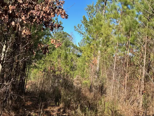 South Pittsburg, TN 37380,Tract 3 South Pittsburg Mtn Road