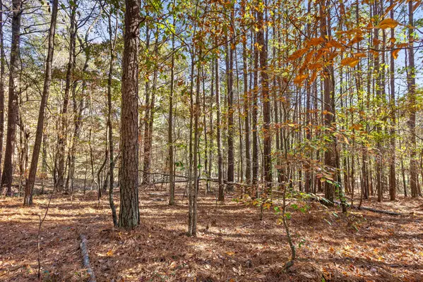 Mcdonald, TN 37353,1492 Brymer Creek RD