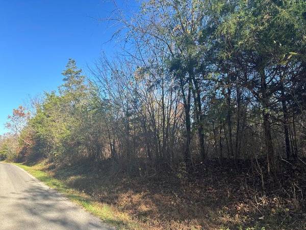 Lot 3 Mt Carmel RD, Decatur, TN 37322