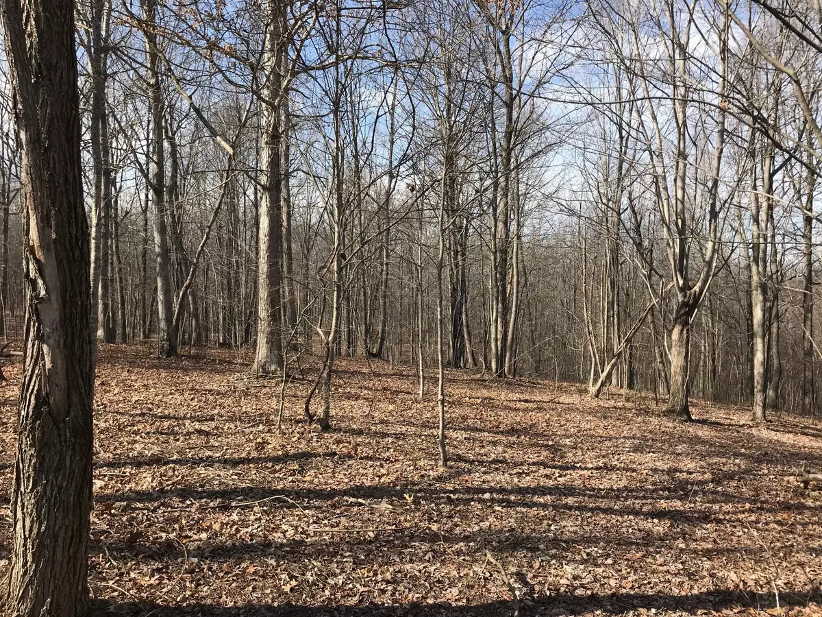 Dunlap, TN 37327,504 Wilderness WAY