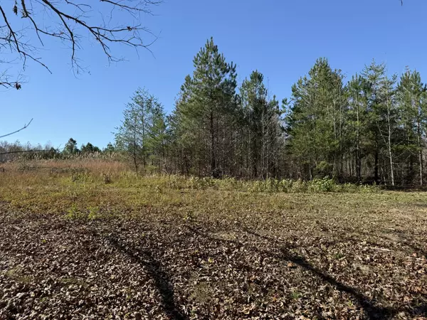 Bryant, AL 35958,31754 Alabama Highway 71