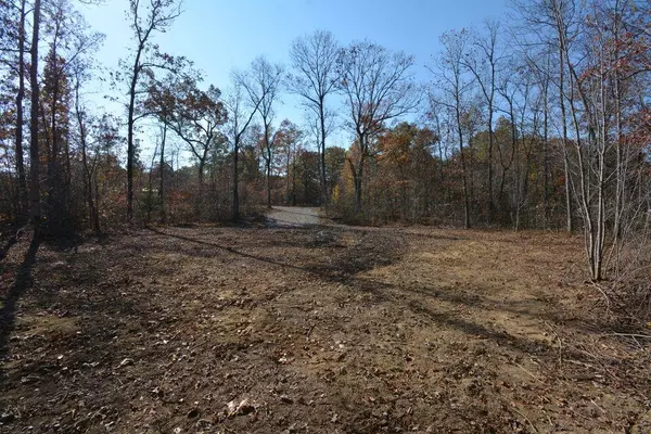 Pikeville, TN 37367,0 Poplar RD