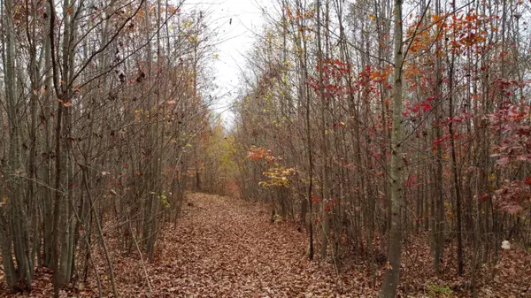 South Pittsburg, TN 37380,53 Hwy 156