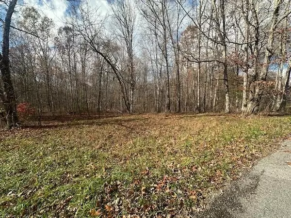 Pikeville, TN 37367,Tract 10 Prater Road