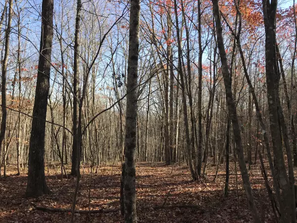 Dunlap, TN 37327,6 Hobbstown RD
