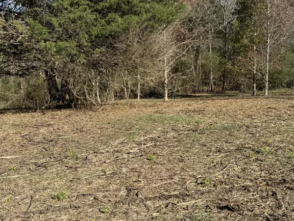 Birchwood, TN 37308,0 Sugar Tree TRL