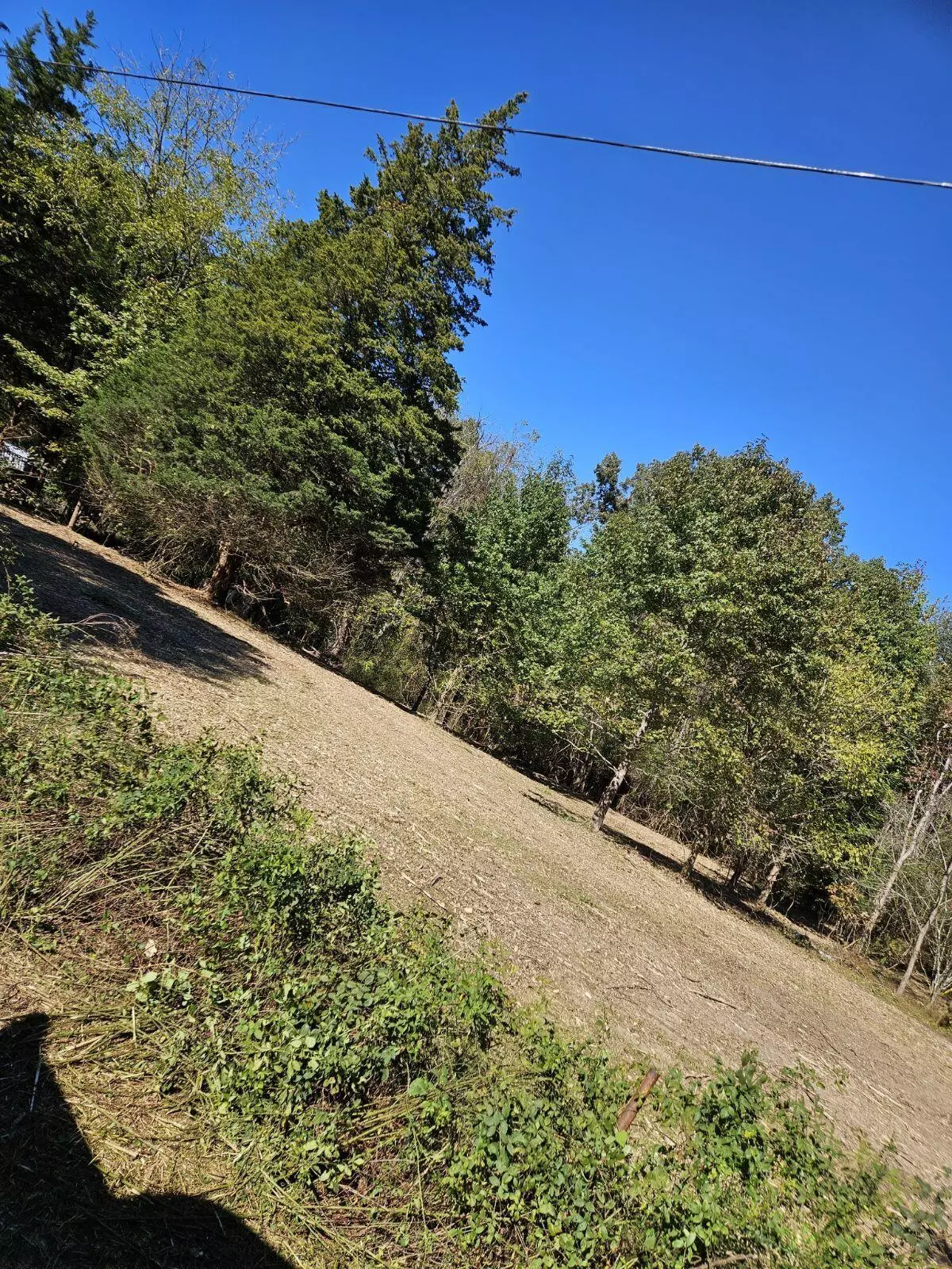 Birchwood, TN 37308,0 Sugar Tree TRL