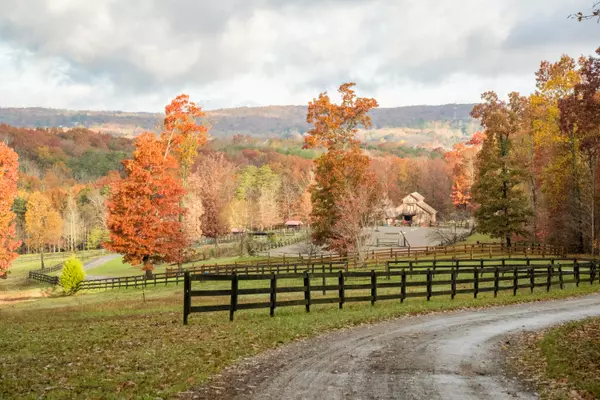 Rising Fawn, GA 30738,0 Long Branch RD