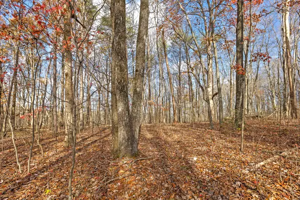 Rising Fawn, GA 30738,0 Shivas Crest