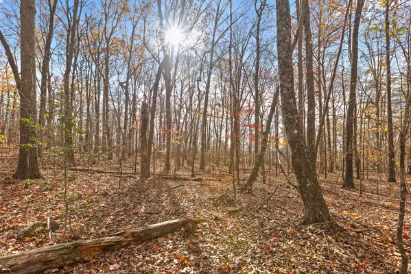 Rising Fawn, GA 30738,0 Shivas Crest