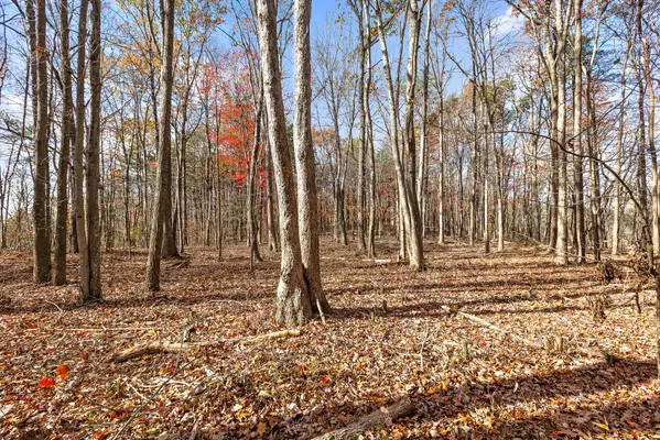 Rising Fawn, GA 30738,0 Shivas Crest