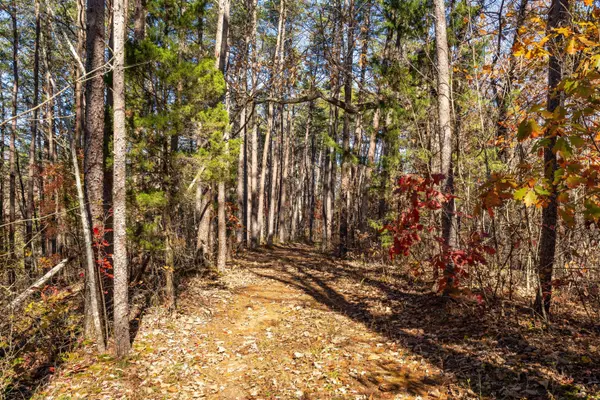 Flintstone, GA 30725,0 Powder Springs CIR