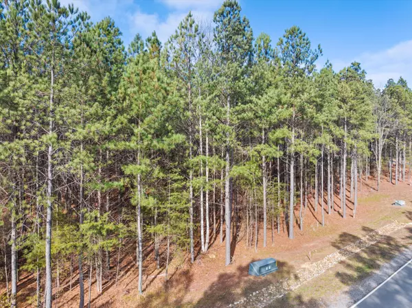 Jasper, TN 37347,0 Crockett PT