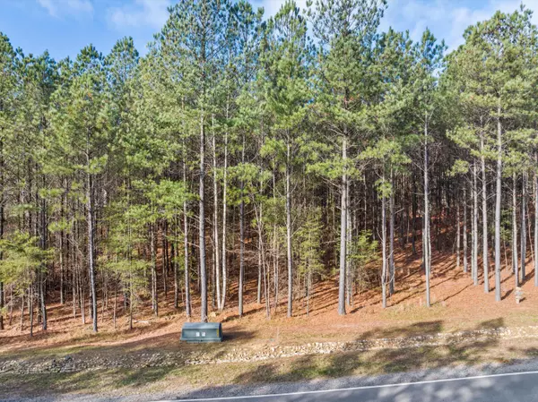 Jasper, TN 37347,0 Crockett PT