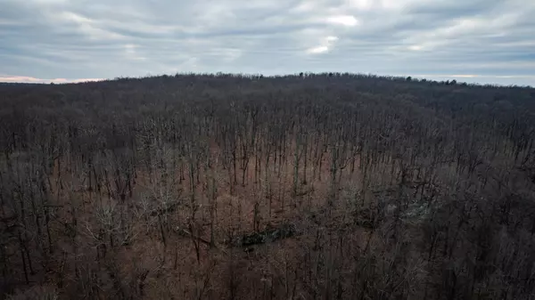 Altamont, TN 37301,14 Higgenbottom TPKE
