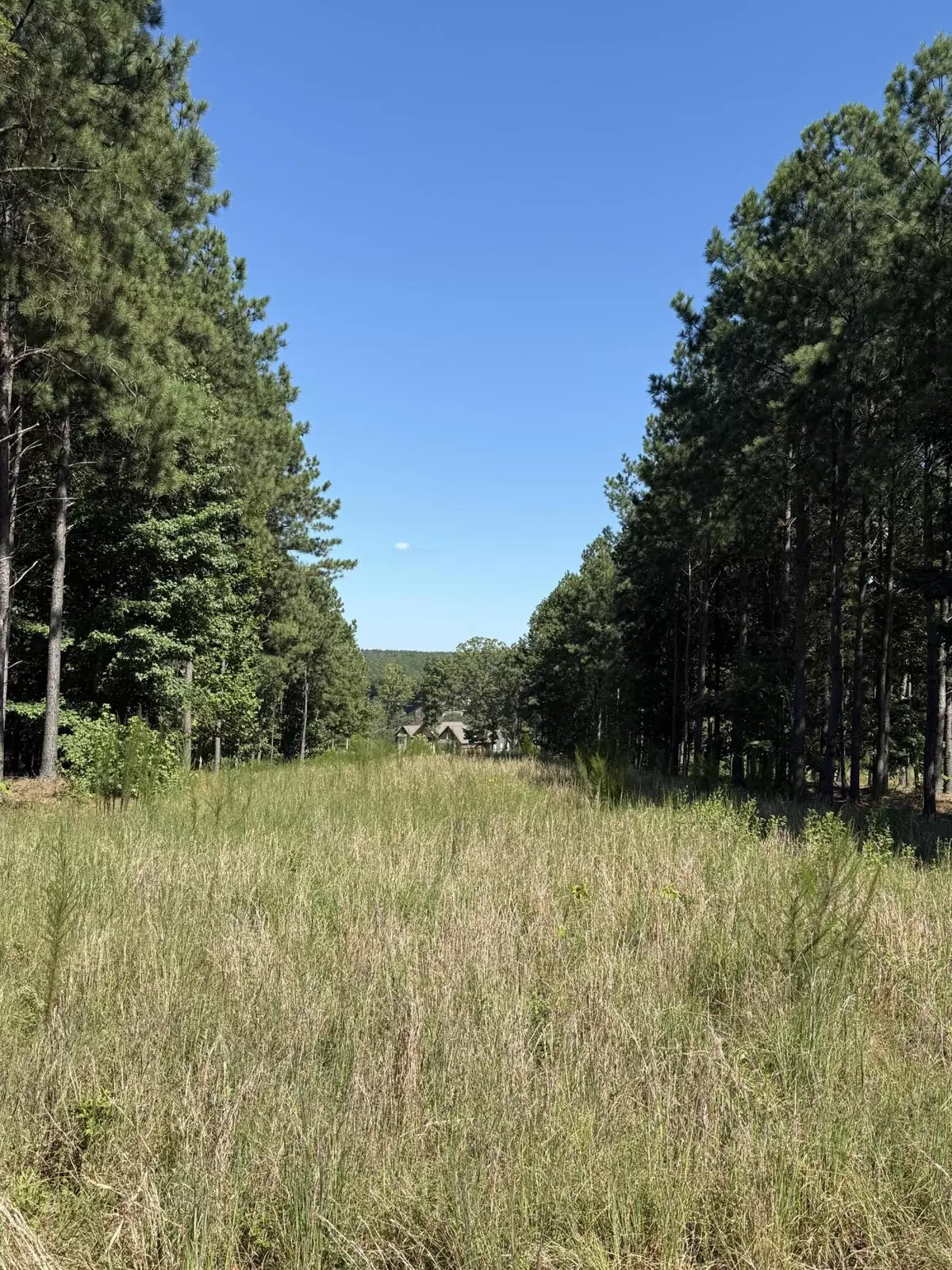 Jasper, TN 37347,1080 Crockett LOOP