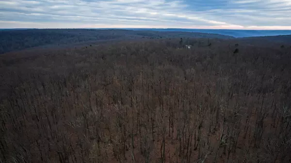 Altamont, TN 37301,19 Higgenbottom TPKE