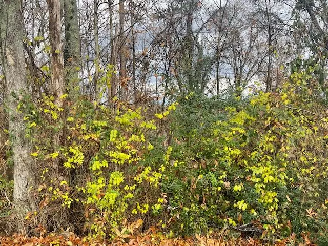 Rossville, GA 30741,0 Mission Ridge DR