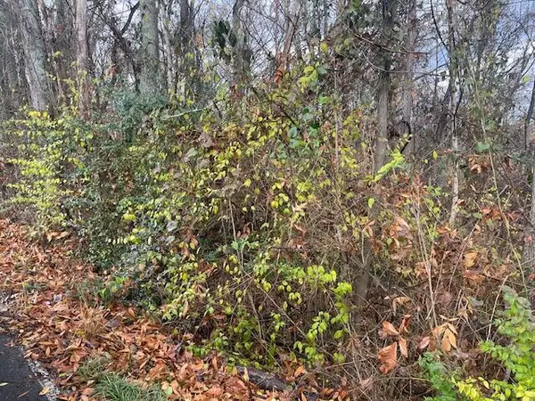 Rossville, GA 30741,0 Mission Ridge DR