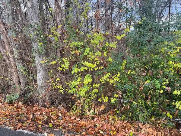 Rossville, GA 30741,0 Mission Ridge DR