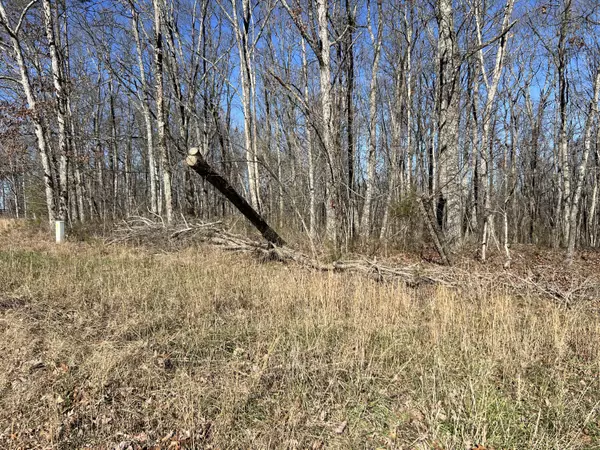 Pikeville, TN 37367,0 Fern Hill RD